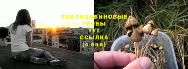 mdpv Алексеевка