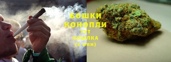 ECSTASY Абаза