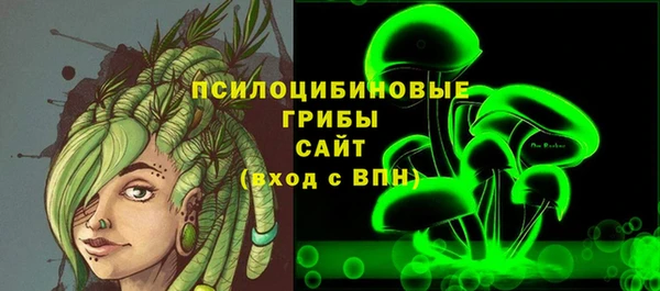 герыч Алексин